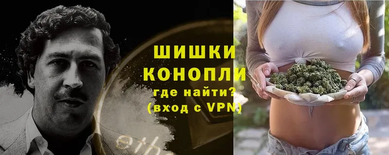 Бошки Шишки THC 21%  купить  цена  Кызыл 